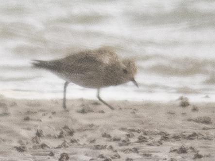  IMG_20170824_145847.JPG </br ><small> 2017-08-24 14:58</br >ONEPLUS A3003 4.26mm 1/440s f/2 ISO 100</small>