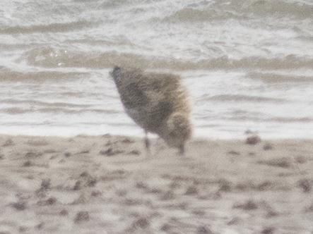  IMG_20170824_145856.JPG </br ><small> 2017-08-24 14:58</br >ONEPLUS A3003 4.26mm 1/390s f/2 ISO 100</small>