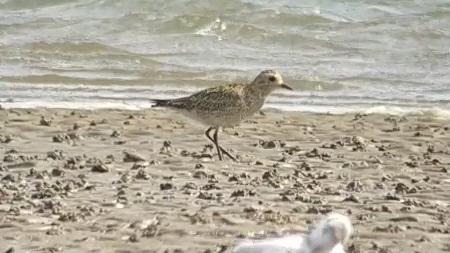  VID_20170824_145906-1.JPG </br ><small> 2017-08-24 12:59</br ></small>