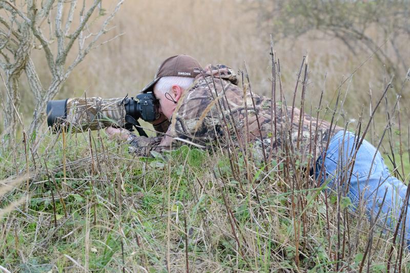  20141129_PB8_5522.JPG </br ><small> 2014-11-29 16:21</br >NIKON D800 + 150.0-600.0 mm f/5.0-6.3<br /> 150mm 1/500s f/7.1 ISO 8063</small>