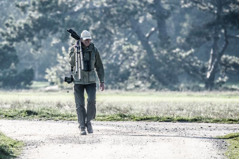  20141004_PB8_3179.JPG </br ><small> 2014-10-04 16:03</br >NIKON D800 + 150.0-600.0 mm f/5.0-6.3<br /> 600mm 1/1250s f/8 ISO 900</small>