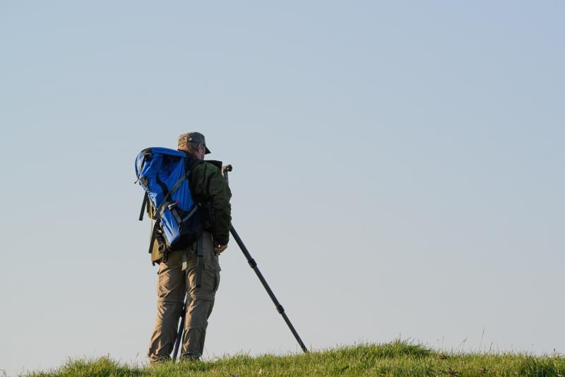  20141004_PB8_3262.JPG </br ><small> 2014-10-04 16:57</br >NIKON D800 + 150.0-600.0 mm f/5.0-6.3<br /> 220mm 1/1000s f/8 ISO 360</small>