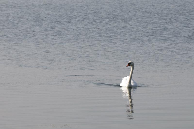  D3C_0670.jpg </br ><small> 2009-09-20 13:52</br >NIKON D300 200mm 1/800s f/8 ISO 200</small>