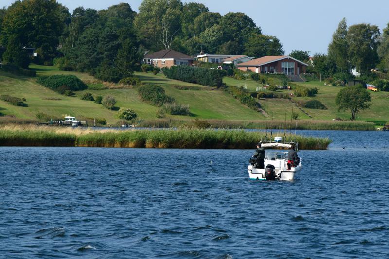  PB8_1222.JPG </br ><small> 2012-09-16 13:19</br >NIKON D800 + 70.0-200.0 mm f/2.8<br /> 200mm 1/1250s f/8 ISO 800</small>