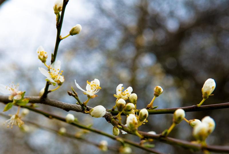  D2C_6382.jpg </br ><small> 2008-04-06 15:11</br >NIKON D200 55mm 1/80s f/8 ISO 100</small>