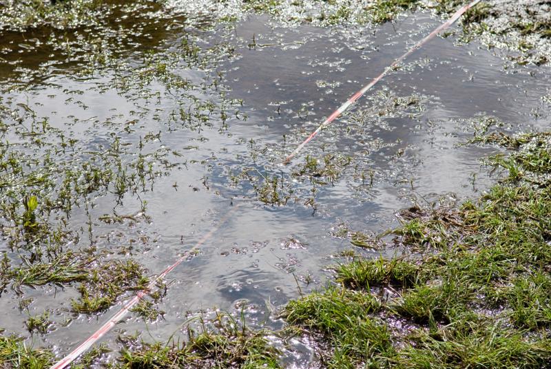  D2C_0973.jpg </br >Boernefestival</br > <small> 2007-07-25 10:40</br >NIKON D200 55mm 1/1250s f/5.6 ISO 200</small>