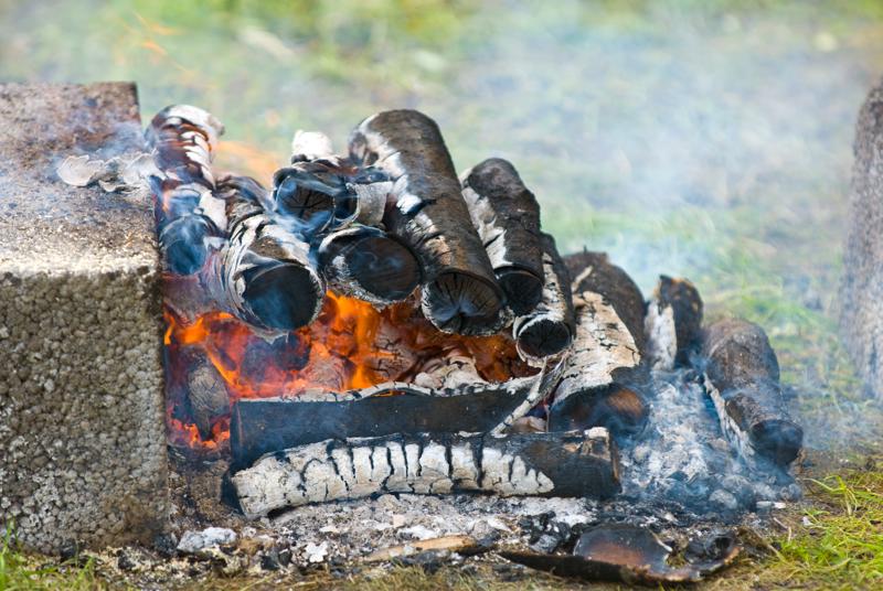  D2C_1012.jpg </br >Boernefestival</br > <small> 2007-07-25 10:56</br >NIKON D200 200mm 1/320s f/4 ISO 200</small>