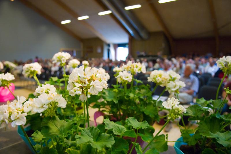  D2C_1076.jpg </br ><small> 2007-07-25 13:46</br >NIKON D200 17mm 1/100s f/2.8 ISO 800</small>