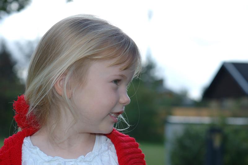  dsc_0597_std.jpg </br ><small> 2004-09-26 13:21</br >NIKON D70 85mm 1/500s f/6.3 </small>