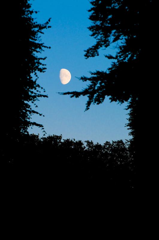  D3C_2611.jpg </br ><small> 2008-07-12 21:33</br >NIKON D300 180mm 1/250s f/5 ISO 200</small>