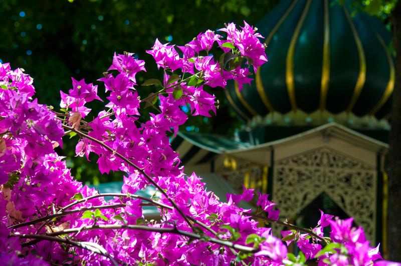  D3C_0985.jpg </br ><small> 2008-06-01 13:28</br >NIKON D300 55mm 1/200s f/5.6 ISO 200</small>