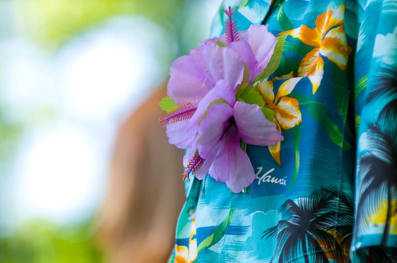  D3C_1121.jpg </br ><small> 2008-06-01 17:18</br >NIKON D300 200mm 1/160s f/4 ISO 200</small>