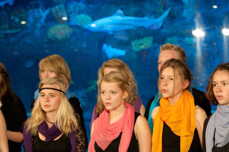  D3C_3255.jpg </br ><small> 2010-06-13 17:44</br >NIKON D300 75mm 1/60s f/3.2 ISO 1250</small>