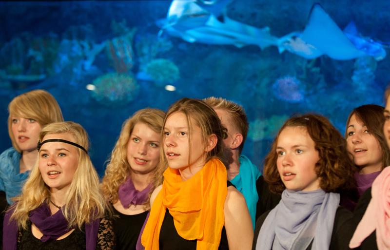  D3C_3284.jpg </br ><small> 2010-06-13 17:51</br >NIKON D300 78mm 1/60s f/3.2 ISO 1250</small>