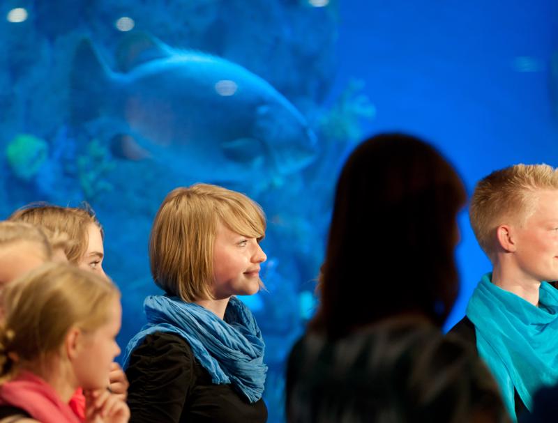  D3C_3295.jpg </br ><small> 2010-06-13 17:56</br >NIKON D300 160mm 1/40s f/3.2 ISO 1250</small>