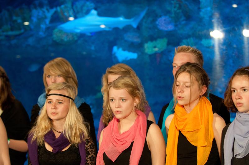  D3C_3256.jpg </br ><small> 2010-06-13 17:44</br >NIKON D300 75mm 1/60s f/3.2 ISO 1250</small>