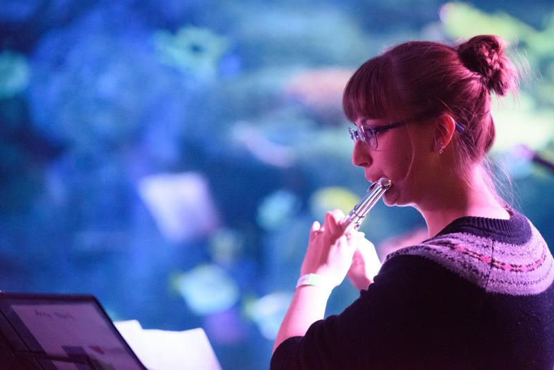  20150502_PB8_7976.JPG </br ><small> 2015-05-02 20:42</br >NIKON D800 + 70.0-200.0 mm f/2.8<br /> 130mm 1/160s f/2.8 ISO 12800</small>