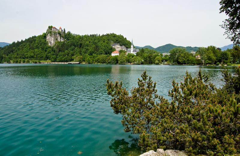  DSC_2050.jpg </br ><small> 2008-05-28 12:10</br >NIKON D70 15mm 1/640s f/8 ISO 250</small>