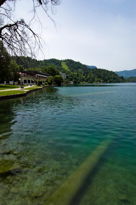  DSC_2061.jpg </br ><small> 2008-05-28 12:16</br >NIKON D70 14mm 1/640s f/8 ISO 250</small>