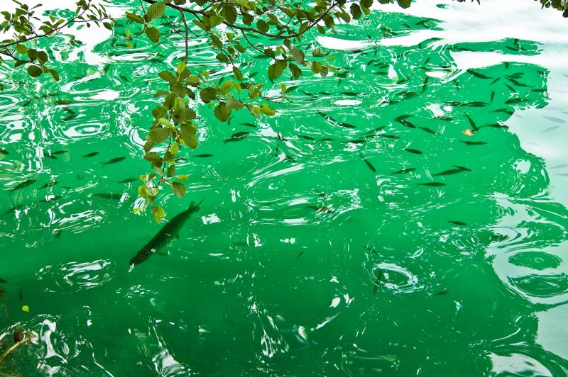  DSC_2069.jpg </br ><small> 2008-05-28 12:25</br >NIKON D70 24mm 1/250s f/4 ISO 250</small>