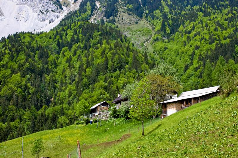  DSC_2070.jpg </br ><small> 2008-05-28 14:42</br >NIKON D70 35mm 1/320s f/8 ISO 250</small>