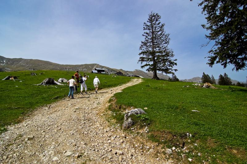  DSC_2081.jpg </br ><small> 2008-05-28 15:48</br >NIKON D70 12mm 1/1000s f/8 ISO 250</small>