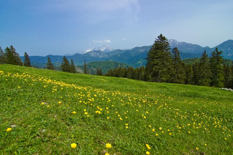  DSC_2084.jpg </br ><small> 2008-05-28 15:51</br >NIKON D70 13mm 1/640s f/8 ISO 250</small>