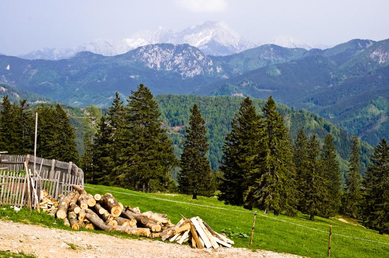  DSC_2091.jpg </br ><small> 2008-05-28 16:13</br >NIKON D70 35mm 1/400s f/8 ISO 250</small>