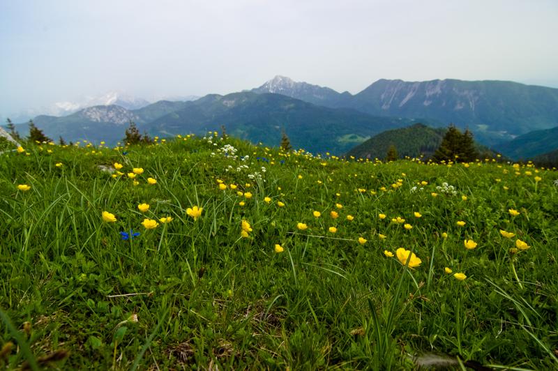  DSC_2123.jpg </br ><small> 2008-05-28 17:04</br >NIKON D70 12mm 1/320s f/8 ISO 250</small>