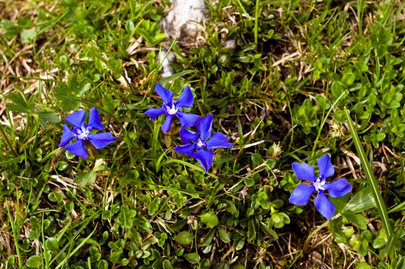  DSC_2149.jpg </br ><small> 2008-05-28 17:19</br >NIKON D70 35mm 1/125s f/8 ISO 250</small>