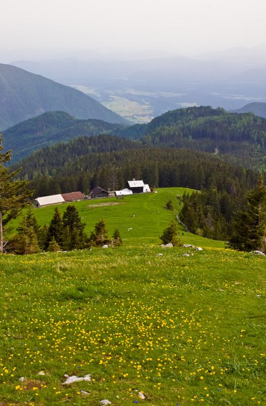  DSC_2158.jpg </br ><small> 2008-05-28 17:21</br >NIKON D70 35mm 1/400s f/8 ISO 250</small>