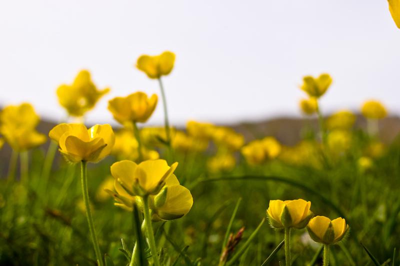  DSC_2160.jpg </br ><small> 2008-05-28 17:22</br >NIKON D70 35mm 1/320s f/8 ISO 250</small>