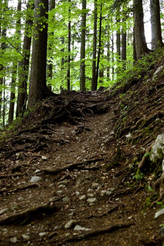  DSC_2181.jpg </br ><small> 2008-05-28 18:17</br >NIKON D70 35mm 1/60s f/2.8 ISO 200</small>