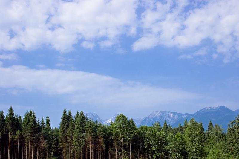  DSC_2208.jpg </br ><small> 2008-05-29 16:35</br >NIKON D70 35mm 1/1000s f/5.6 ISO 200</small>