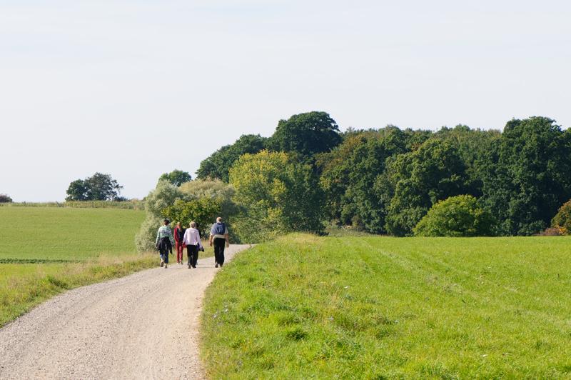  D3C_4700.jpg </br ><small> 2008-09-27 13:26</br >NIKON D300 105mm 1/500s f/8 ISO 320</small>