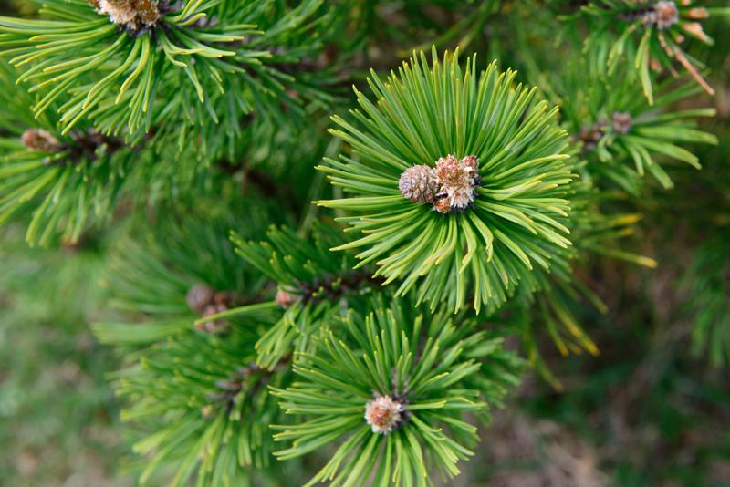  20130509_PB8_5511.JPG </br ><small> 2013-05-09 12:26</br >NIKON D800 + 24.0-70.0 mm f/2.8<br /> 58mm 1/200s f/7.1 ISO 200</small>