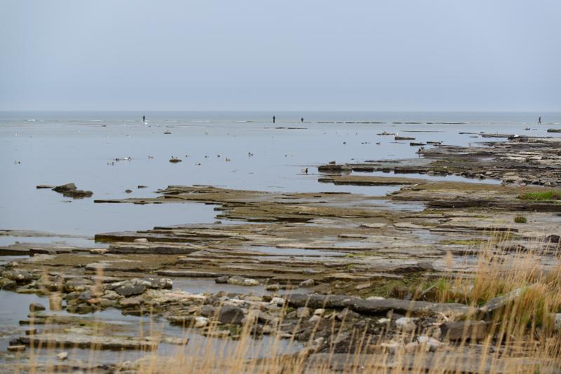  20130509_PB8_5531.JPG </br ><small> 2013-05-09 14:33</br >NIKON D800 + 70.0-200.0 mm f/2.8<br /> 105mm 1/400s f/5.6 ISO 200</small>