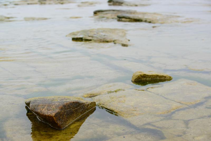  20130509_PB8_5538.JPG </br ><small> 2013-05-09 14:36</br >NIKON D800 + 70.0-200.0 mm f/2.8<br /> 70mm 1/500s f/8 ISO 640</small>