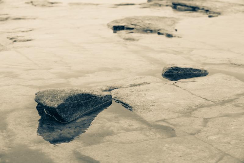  20130509_PB8_5540.JPG </br ><small> 2013-05-09 14:37</br >NIKON D800 + 70.0-200.0 mm f/2.8<br /> 70mm 1/500s f/8 ISO 640</small>