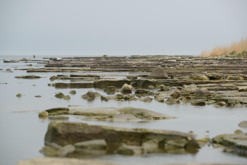  20130509_PB8_5541.JPG </br ><small> 2013-05-09 14:38</br >NIKON D800 + 70.0-200.0 mm f/2.8<br /> 200mm 1/640s f/8 ISO 640</small>