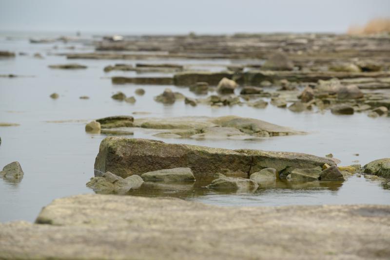  20130509_PB8_5542.JPG </br ><small> 2013-05-09 14:38</br >NIKON D800 + 70.0-200.0 mm f/2.8<br /> 200mm 1/500s f/8 ISO 640</small>