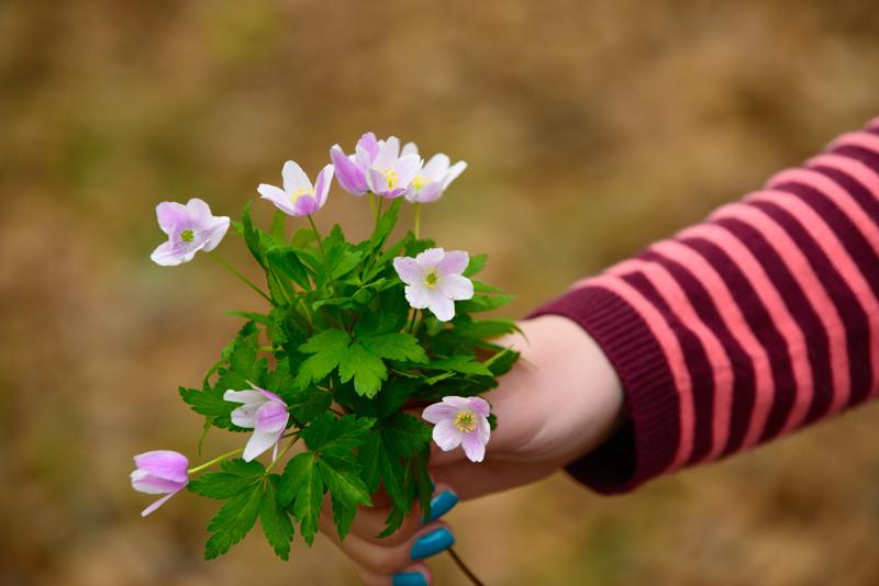  20130510_PB8_5592.JPG </br ><small> 2013-05-10 15:18</br >NIKON D800 + 70.0-200.0 mm f/2.8<br /> 170mm 1/500s f/7.1 ISO 800</small>