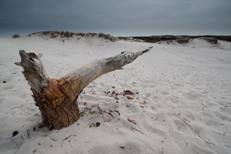  20130511_PB8_5794.JPG </br ><small> 2013-05-11 13:45</br >NIKON D800 + 14.0-24.0 mm f/2.8<br /> 14mm 1/250s f/11 ISO 100</small>