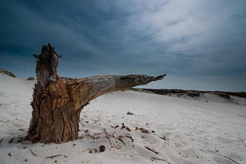  20130511_PB8_5795.JPG </br ><small> 2013-05-11 13:46</br >NIKON D800 + 14.0-24.0 mm f/2.8<br /> 14mm 1/320s f/11 ISO 100</small>