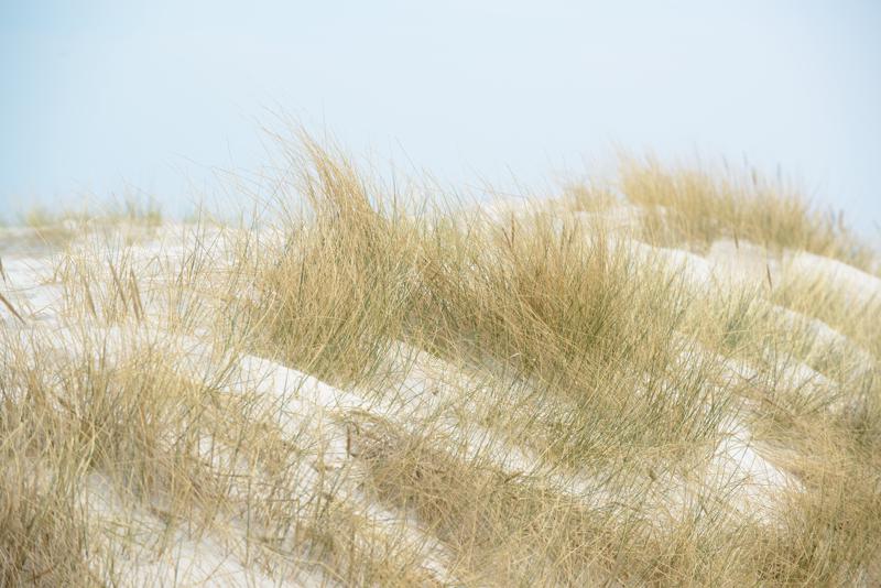  20130511_PB8_5796.JPG </br ><small> 2013-05-11 13:47</br >NIKON D800 + 70.0-200.0 mm f/2.8<br /> 200mm 1/320s f/8 ISO 100</small>