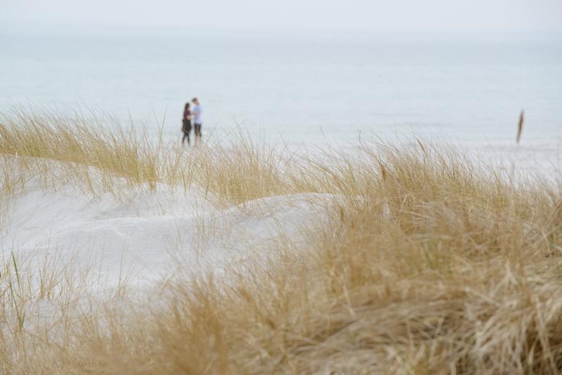  20130511_PB8_5812.JPG </br ><small> 2013-05-11 14:01</br >NIKON D800 + 70.0-200.0 mm f/2.8<br /> 200mm 1/320s f/8 ISO 100</small>