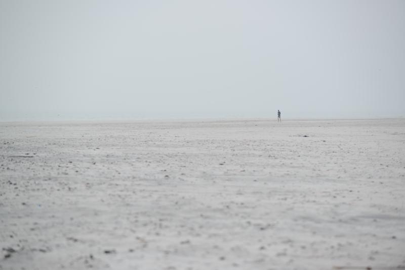  20130511_PB8_5835.JPG </br ><small> 2013-05-11 14:09</br >NIKON D800 + 70.0-200.0 mm f/2.8<br /> 200mm 1/1600s f/5.6 ISO 200</small>