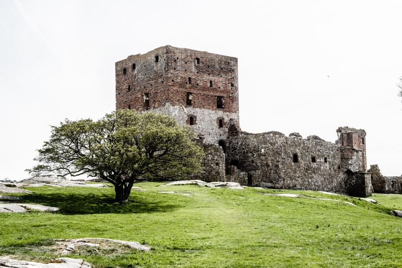  20130512_PB8_5920.JPG </br ><small> 2013-05-12 15:06</br >NIKON D800 + 24.0-70.0 mm f/2.8<br /> 50mm 1/640s f/8 ISO 200</small>