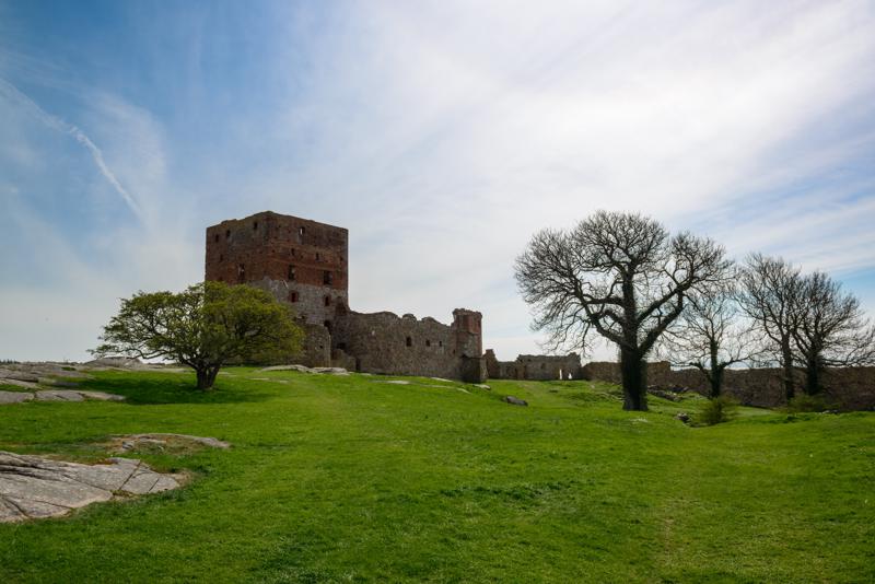  20130512_PB8_5921.JPG </br ><small> 2013-05-12 15:06</br >NIKON D800 + 24.0-70.0 mm f/2.8<br /> 24mm 1/1000s f/8 ISO 200</small>