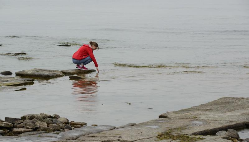  20130509_PB8_5537.JPG </br ><small> 2013-05-09 14:35</br >NIKON D800 + 70.0-200.0 mm f/2.8<br /> 125mm 1/1000s f/8 ISO 640</small>